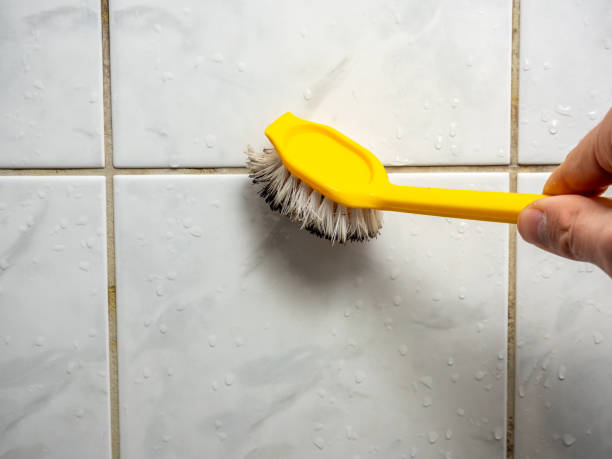 Best Local Mold Removal Service  in Bernalillo, NM