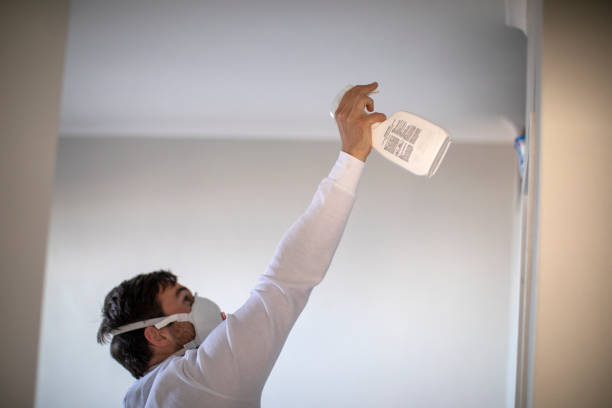 Mold Removal and Inspection in Bernalillo, NM