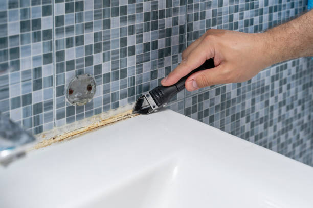 Best Mold Removal Company Near Me  in Bernalillo, NM