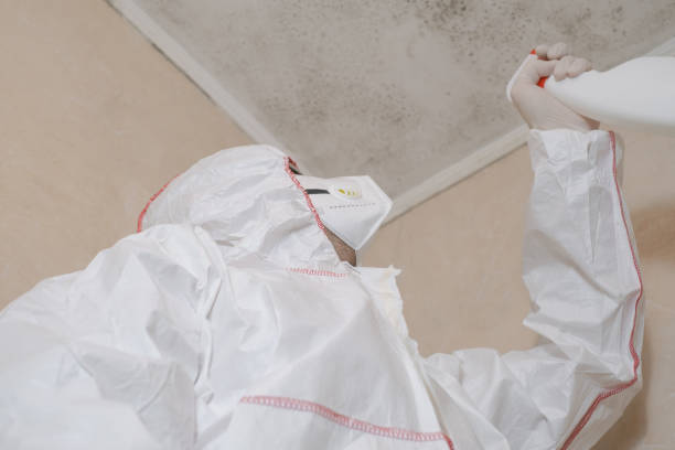 Best Residential Mold Removal  in Bernalillo, NM