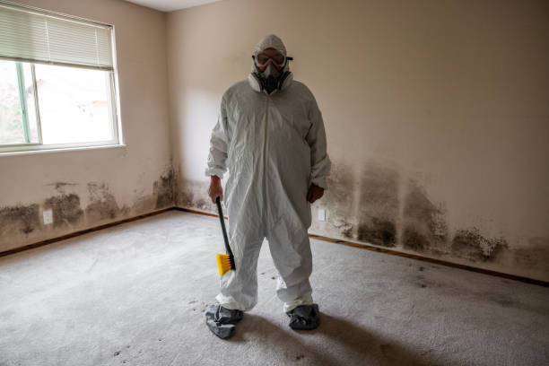 Best Certified Mold Removal  in Bernalillo, NM